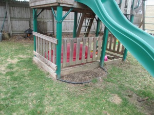 My son planted 30 gladioli in this small garden under the play set. It's pretty shady, but if they grow it will brighten up this spot quite a bit.