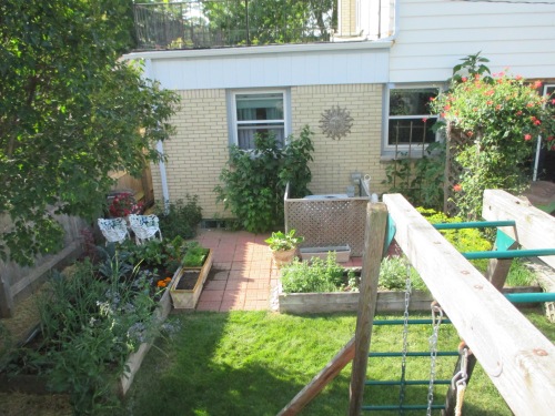 Another view of the patio garden.